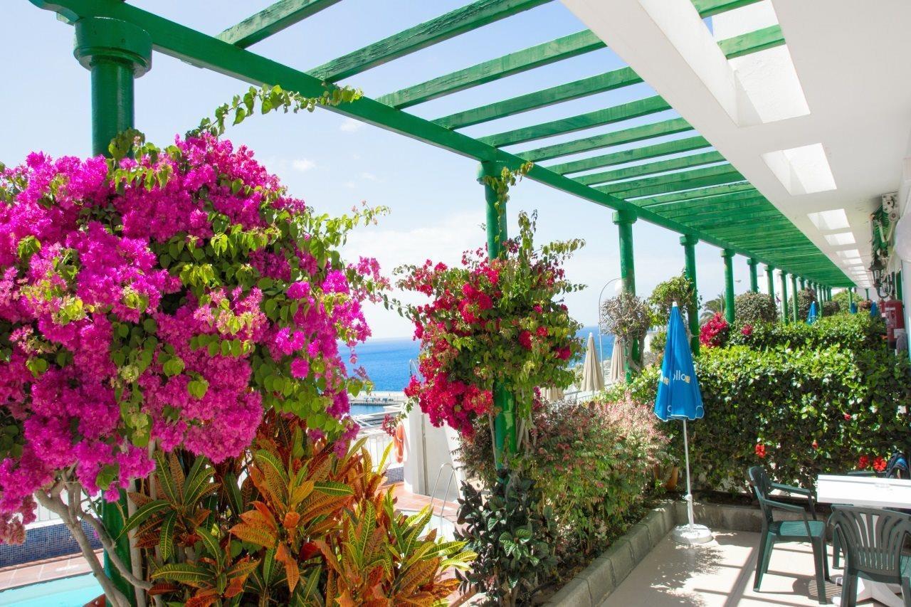 Apartamentos Los Veleros プエルトリコ エクステリア 写真